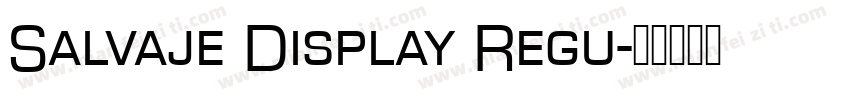Salvaje Display Regu字体转换